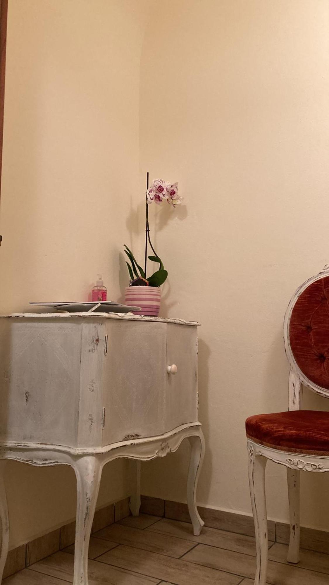 Antica Novi B & B โนวีลิกูเร ภายนอก รูปภาพ