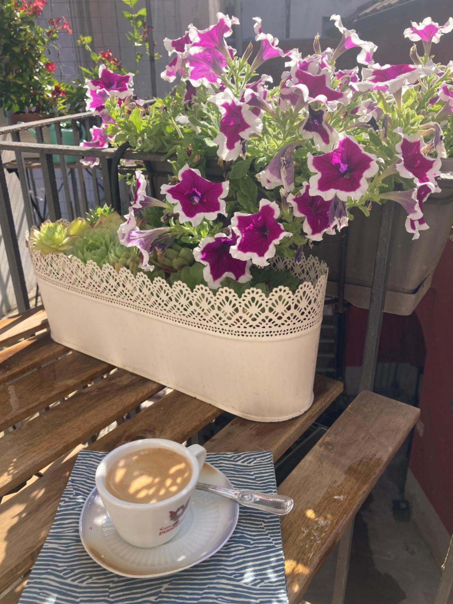 Antica Novi B & B โนวีลิกูเร ภายนอก รูปภาพ